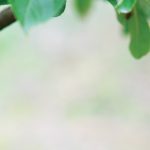 about-jm-smucker-banner-final