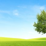 Sustainability-homepage-desktop-banner_FINAL
