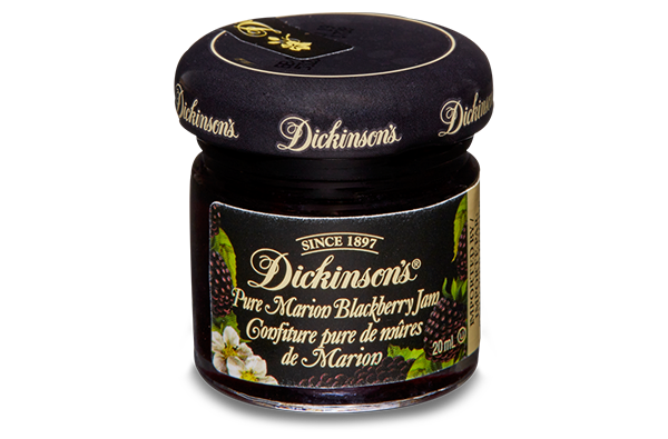 dickinsons-spreads-blackberry-jam-20ml-foodservice