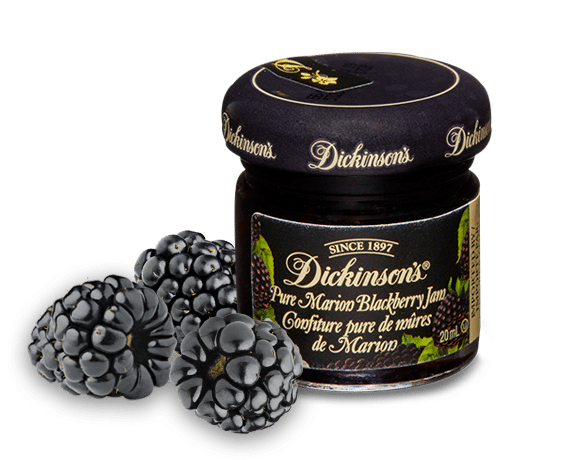 dickinsons-premium-single-serve-jam-foodservice-canada